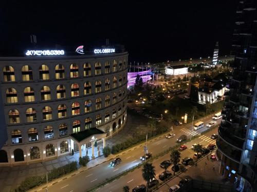 Cozy and Comfortable Sea View Apartment in Batumi