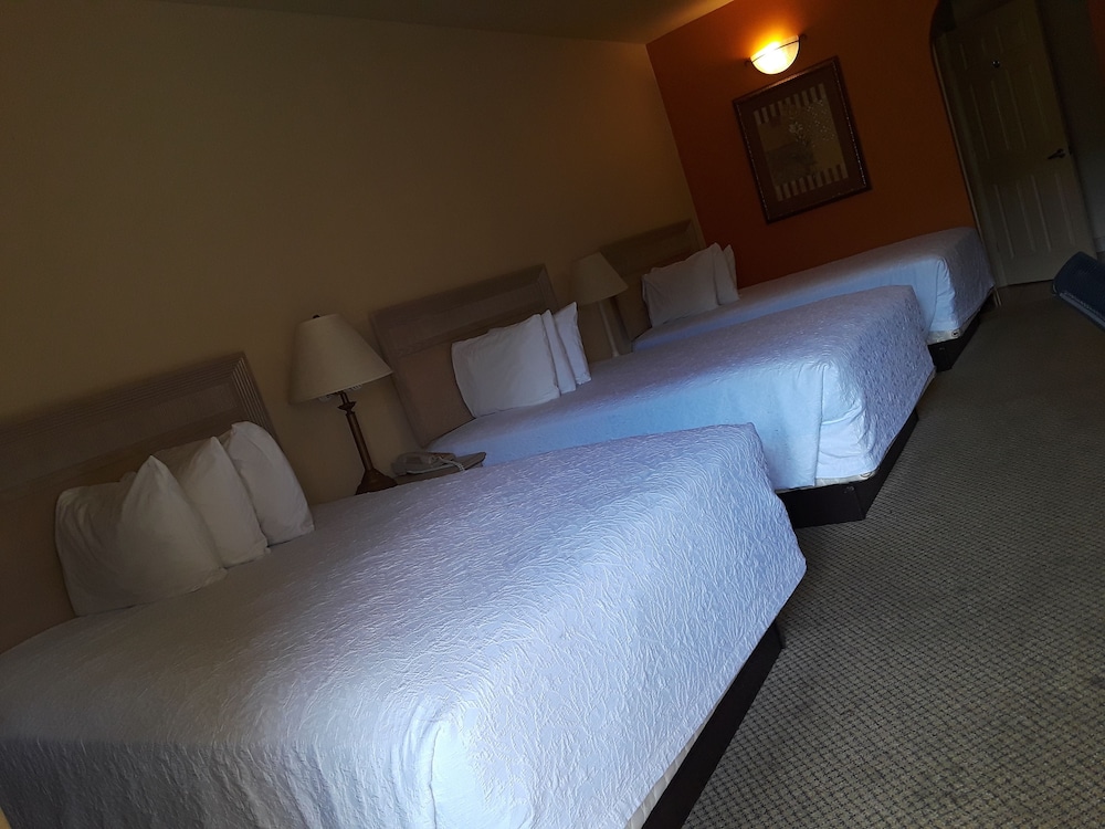 Sunbridge Inn & Suites - photo 7