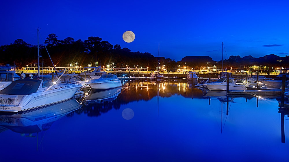 Disney's Hilton Head Island Resort - photo 49