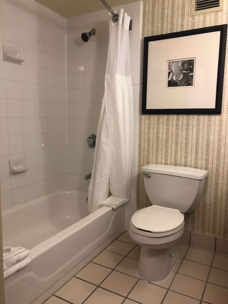 Hilton Garden Inn Addison - photo 21