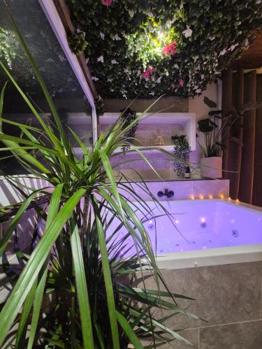 Love Room Au Castellet — hotel in Le Castellet