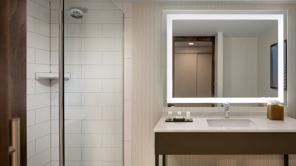 Embassy Suites by Hilton Dallas Love Field - photo 20