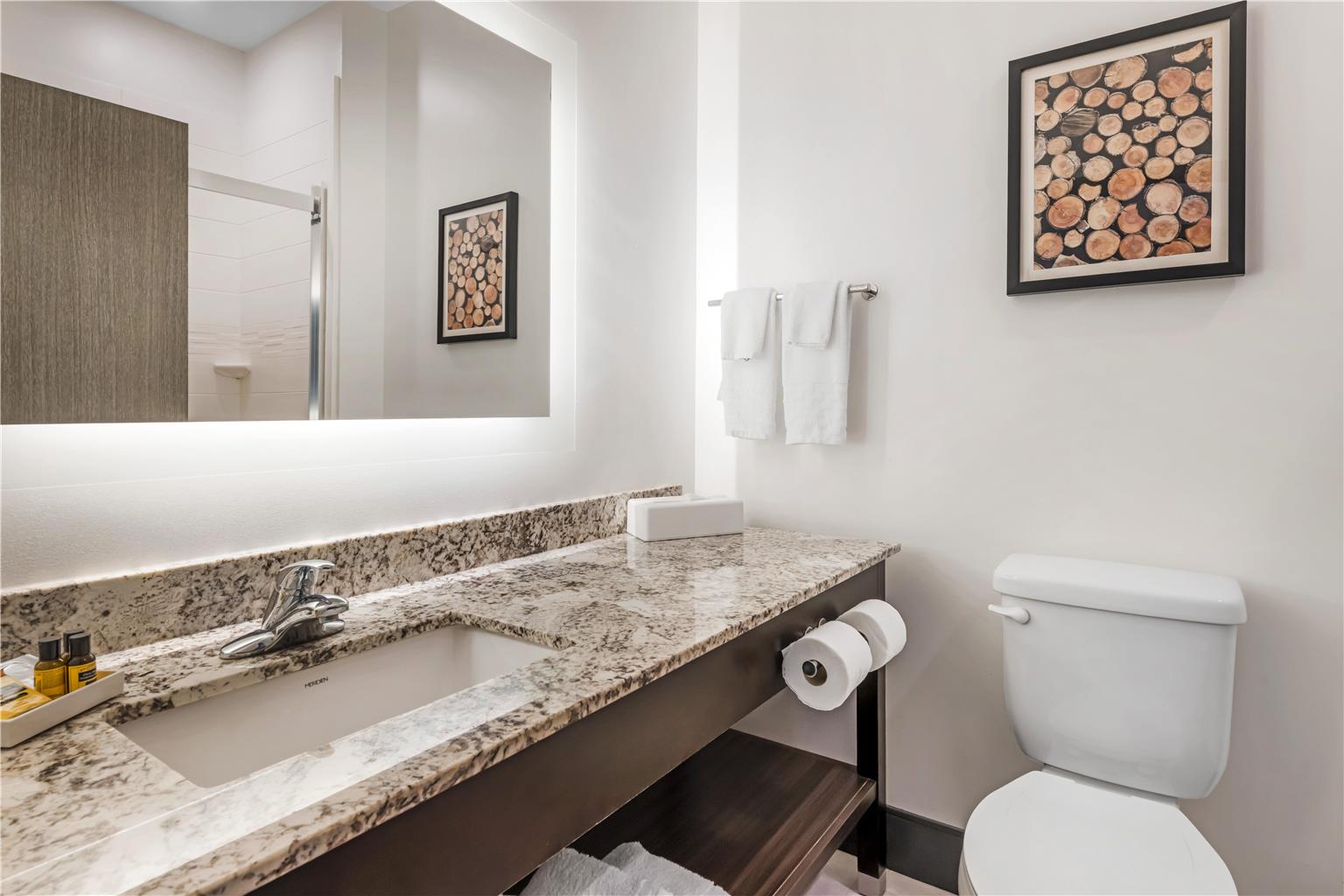 Best Western Plus Isanti - photo 17