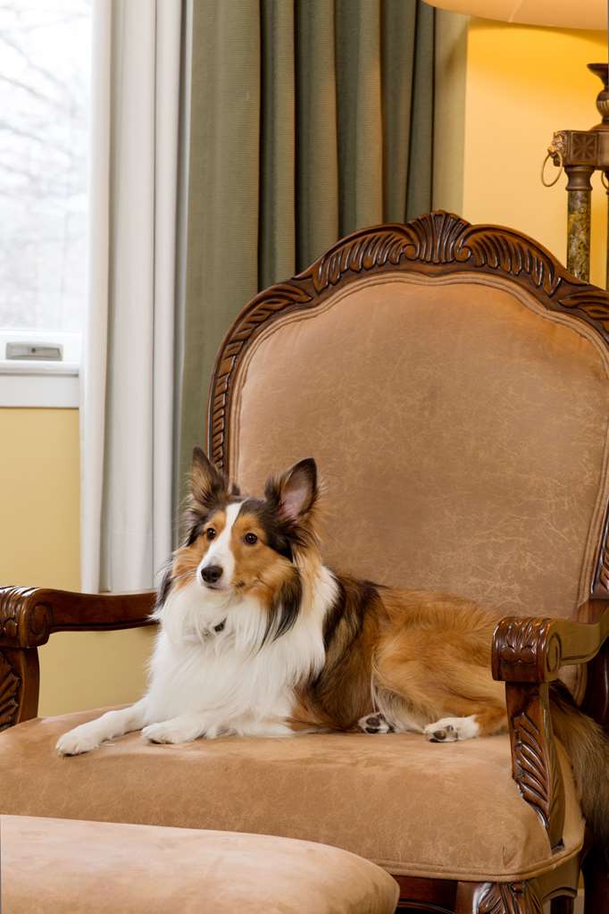 Nassau Inn - photo 3