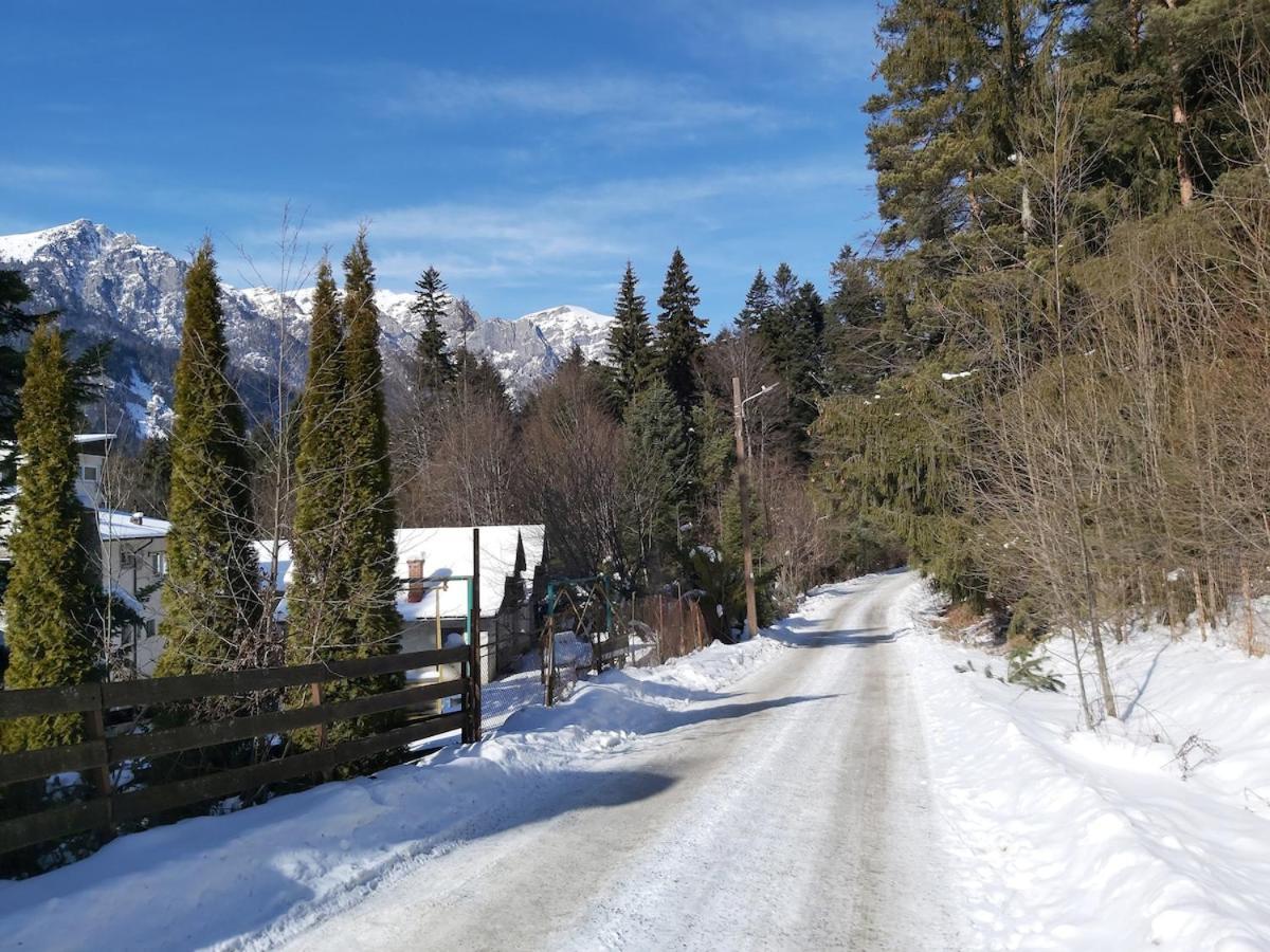 Studio - carbon neutral hotel in Sinaia