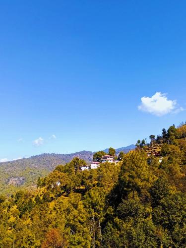 Boros Resorts Binsar in Almora, India