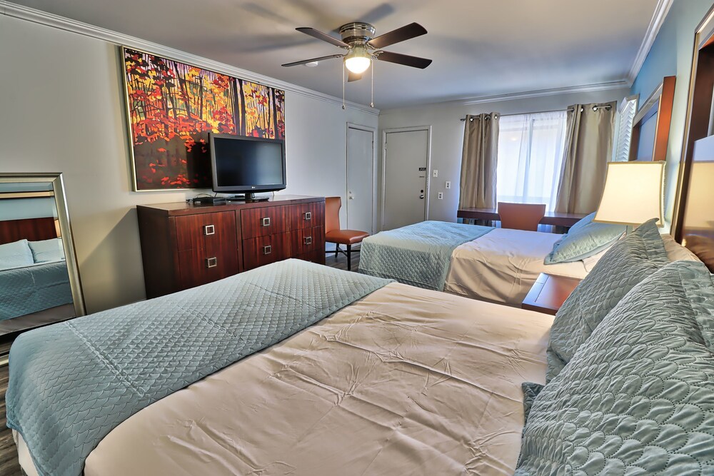Serendipity Inn - photo 9