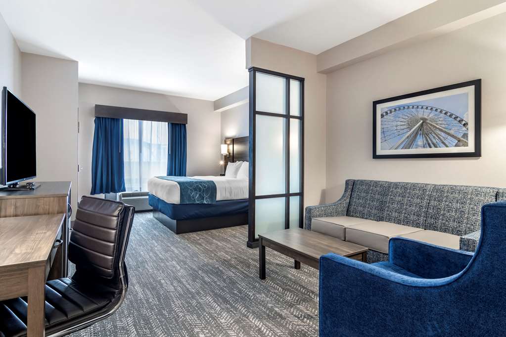 Comfort Suites McDonough Atlanta South - photo 17