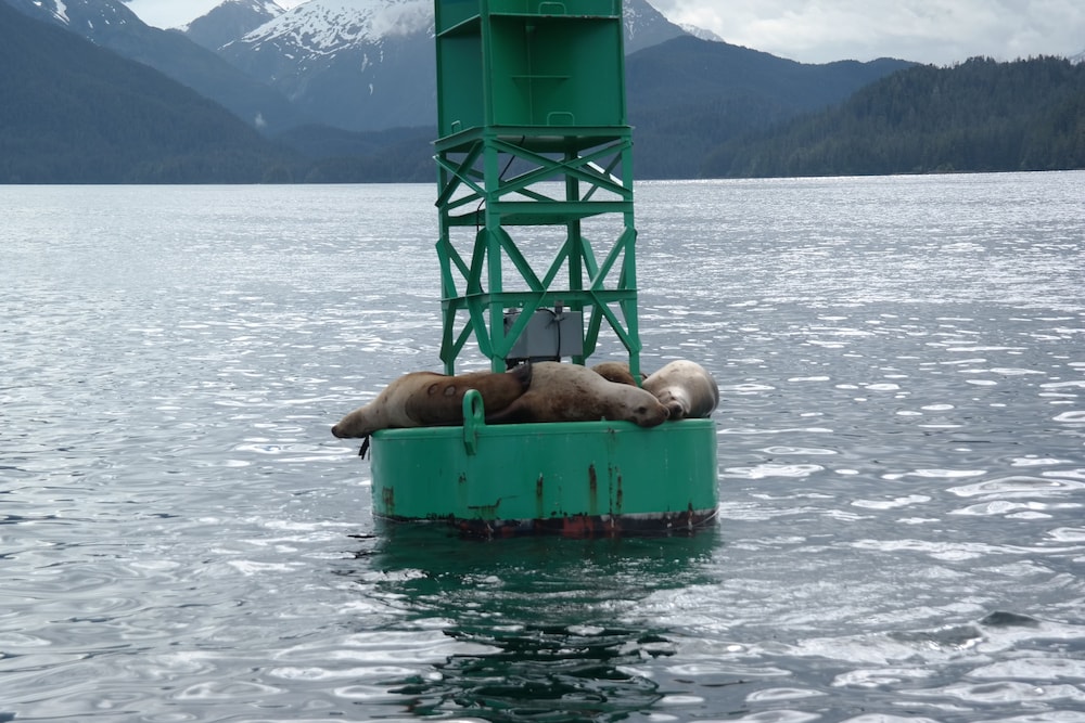 Sitka Hotel and Restaurant - photo 39