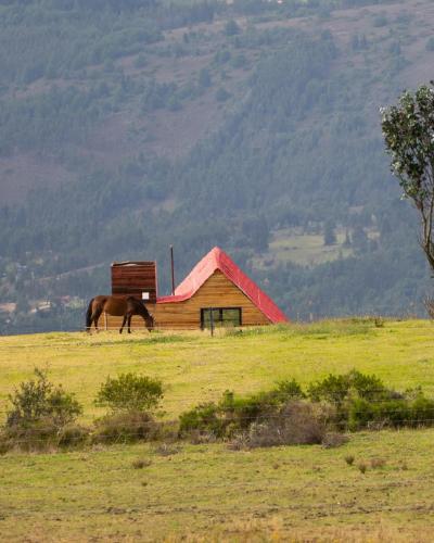 La Cima De Los Frailejones in Tibasosa, Colombia