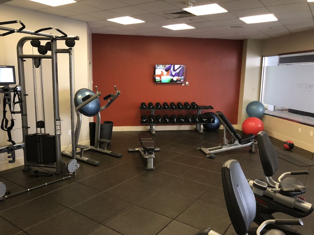 פעילויות וכושר