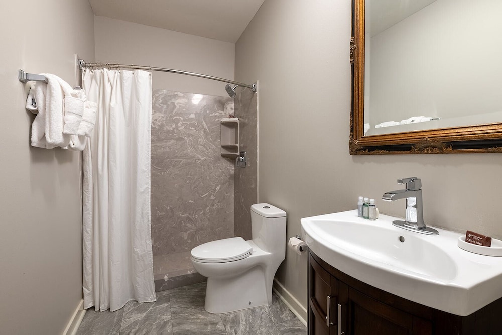 French Quarter Suites Hotel - photo 44