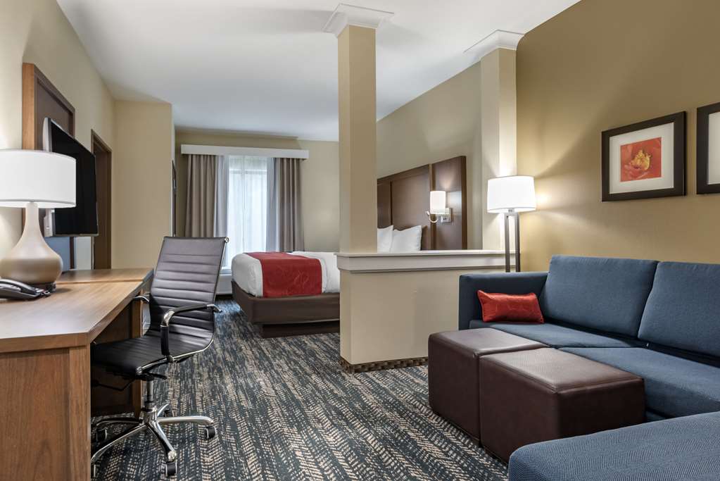 Comfort Inn & Suites Downtown near University - photo 26
