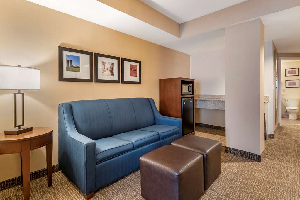 Comfort Suites Downtown Carlisle - photo 13