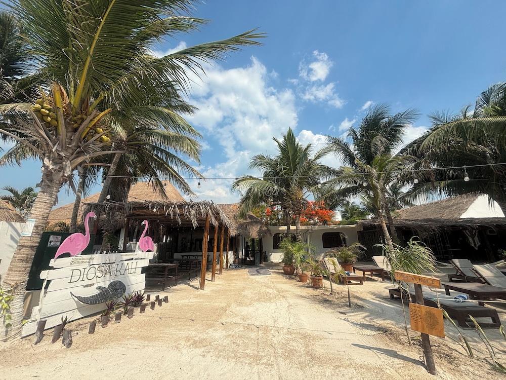 La Diosa Kali Beach Front Hotel in Isla Holbox, Mexico