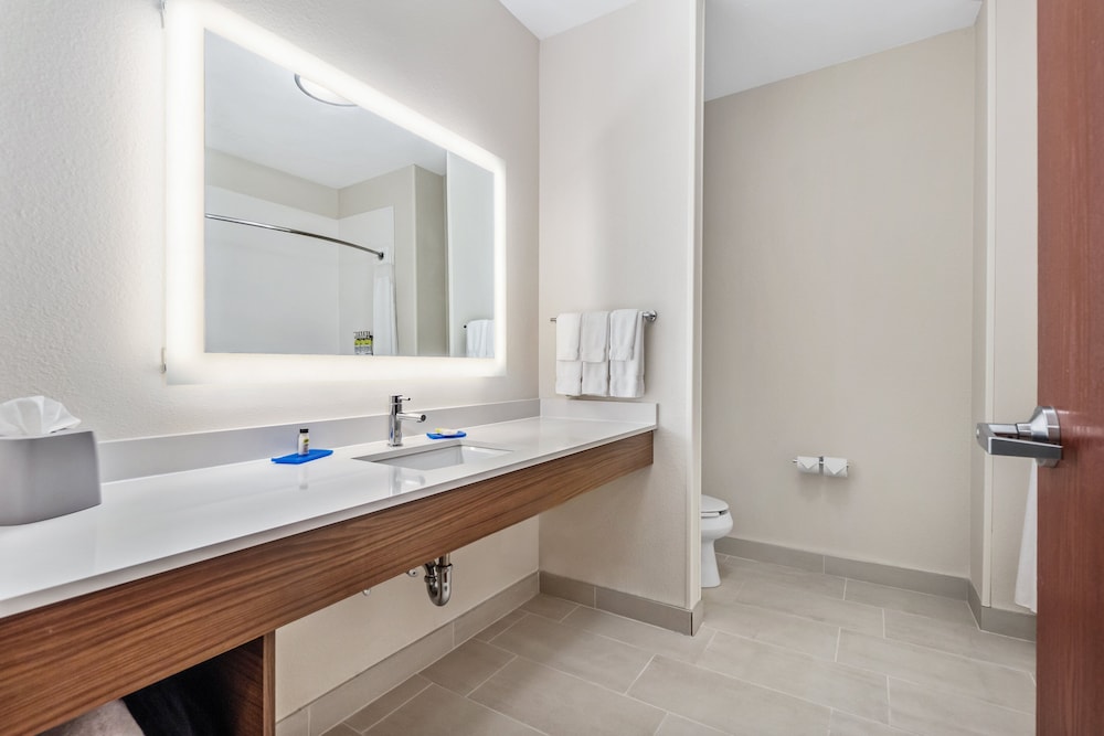 Holiday Inn Express Suites Van Buren Ft Smith Area by IHG - photo 48