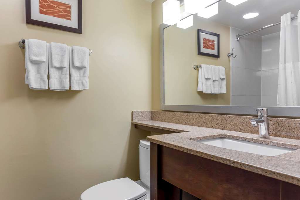Comfort Inn Hammond I 94 - photo 28