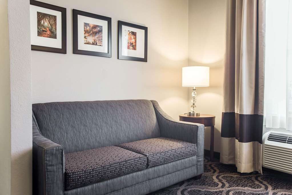 Comfort Suites Pineville Ballantyne Area - photo 18