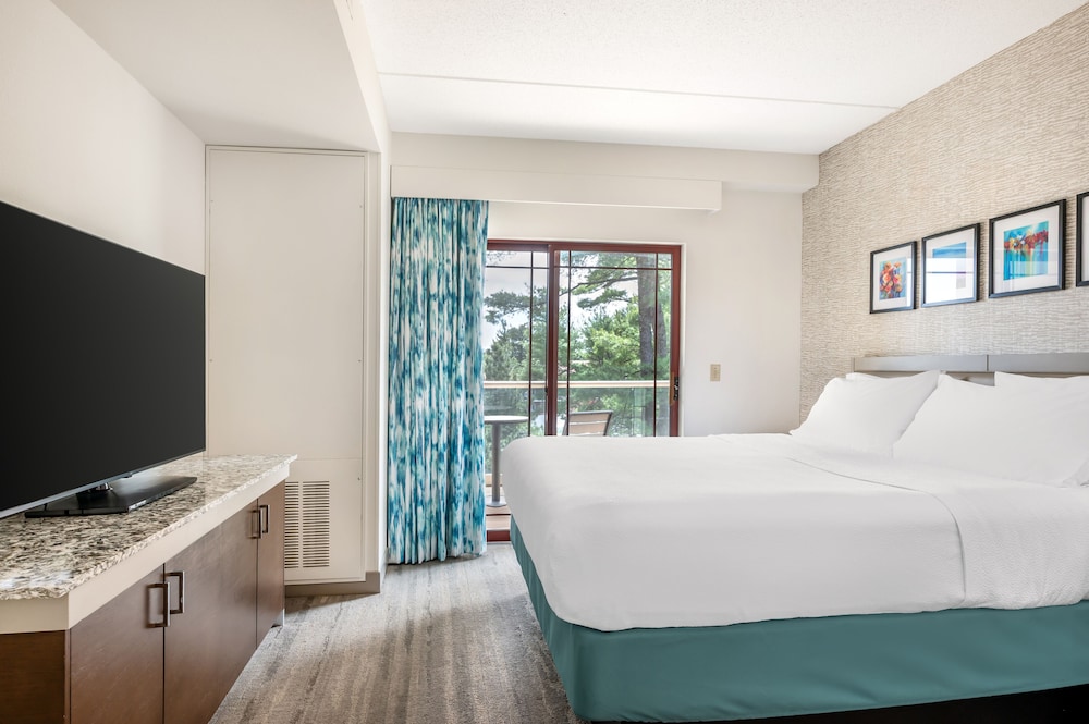 Hilton Garden Inn Wisconsin Dells - photo 39