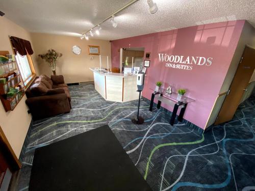Woodlands Inn & Suites - photo 10