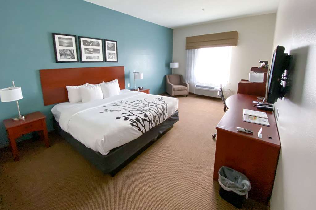 Sleep Inn And Suites Pearland Houston South - photo 4