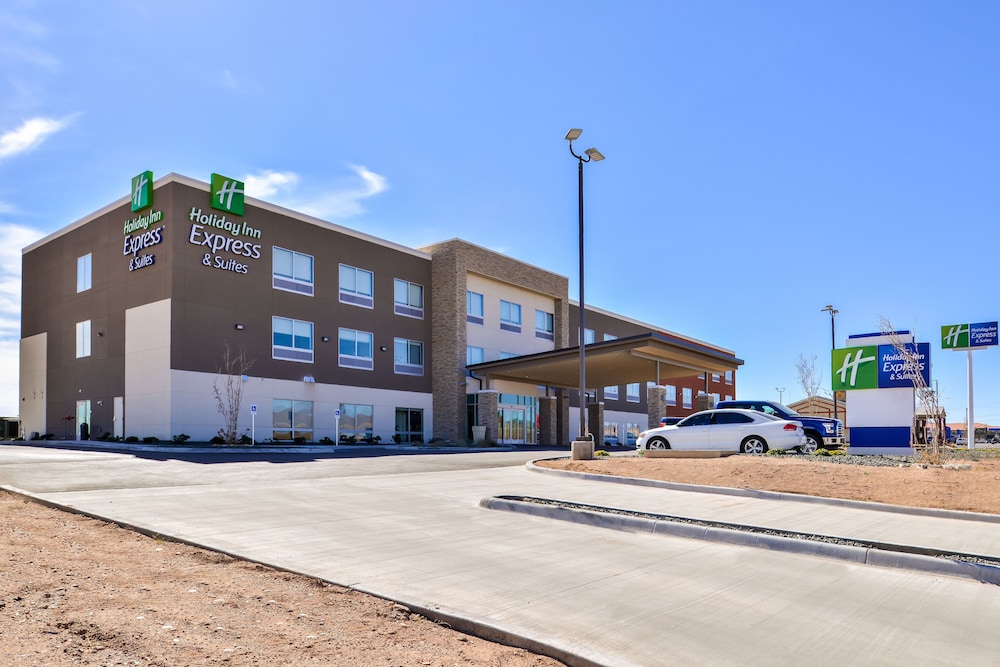 Holiday Inn Express & Suites Van Horn by IHG - photo 63