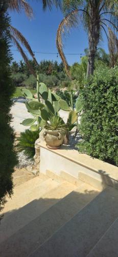 Holiday in Paradise — Balestrate — photo 3