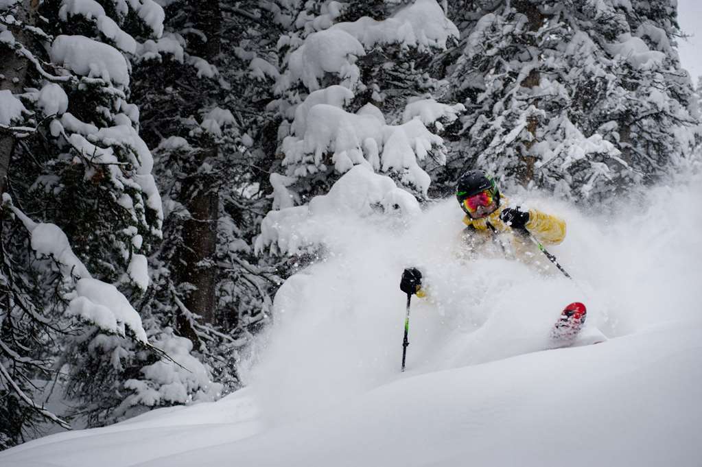 Grand Hyatt Deer Valley - photo 8