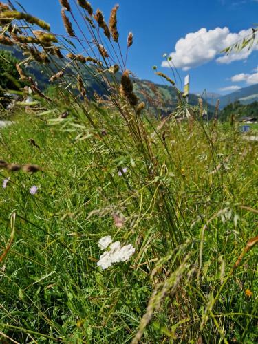 Chalet Johanna — 4-Star Luxury Hotel in Ramsau Im Zillertal, Austria