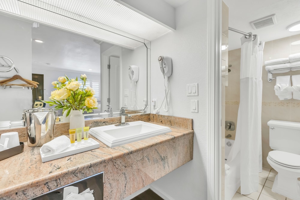 Napa Valley Hotel & Suites - photo 41
