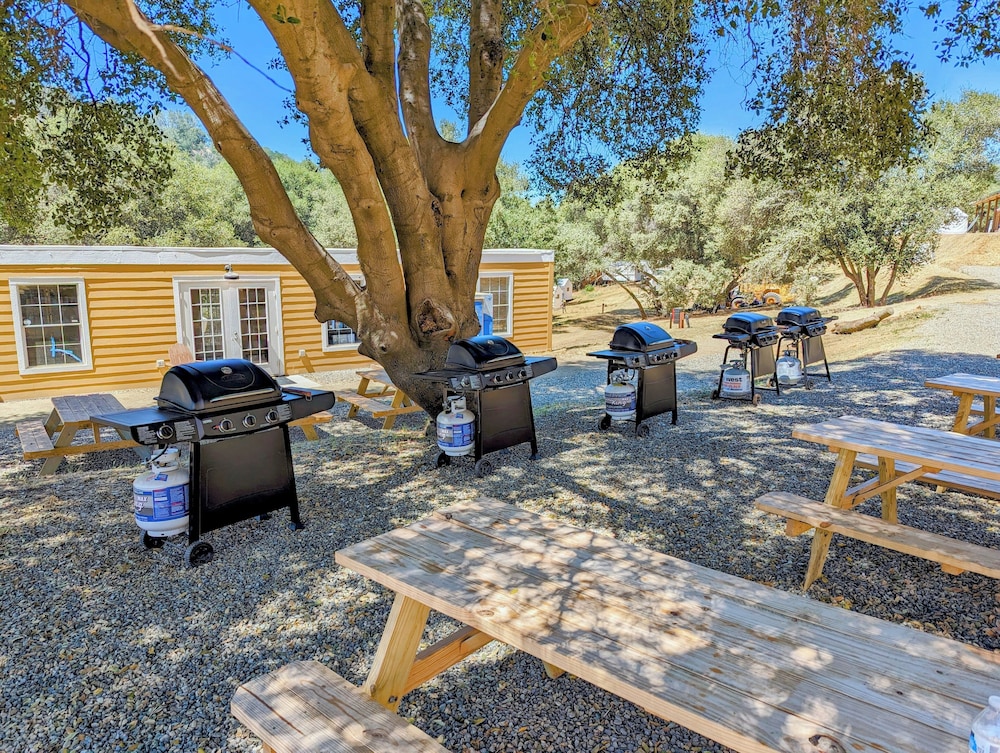 Wildhaven Yosemite Glamping - photo 47