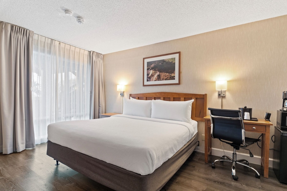 Vagabond Inn Executive San Francisco Airport - photo 17