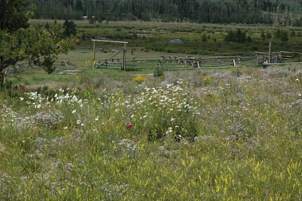 Lava Mountain Lodge - photo 34
