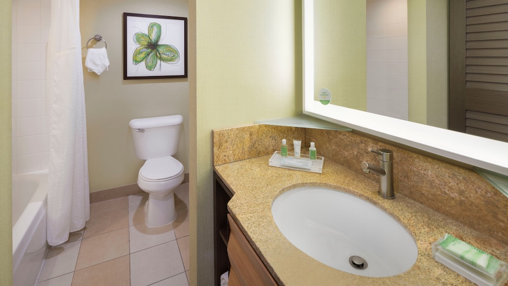 Holiday Inn San Jose Silicon Valley by IHG - photo 25