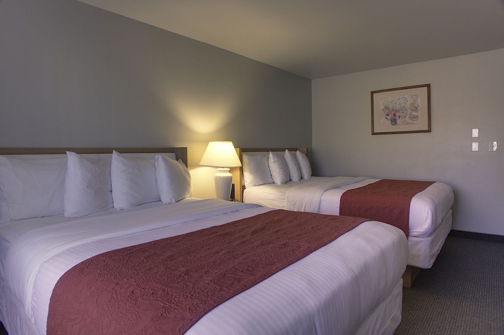 Aladdin Inn & Suites - photo 13