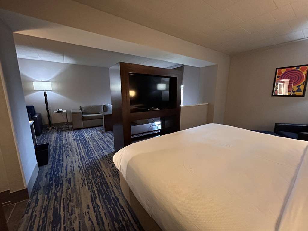 Skyline Hotel Detroit Airport SureStay Collection by BW - photo 15