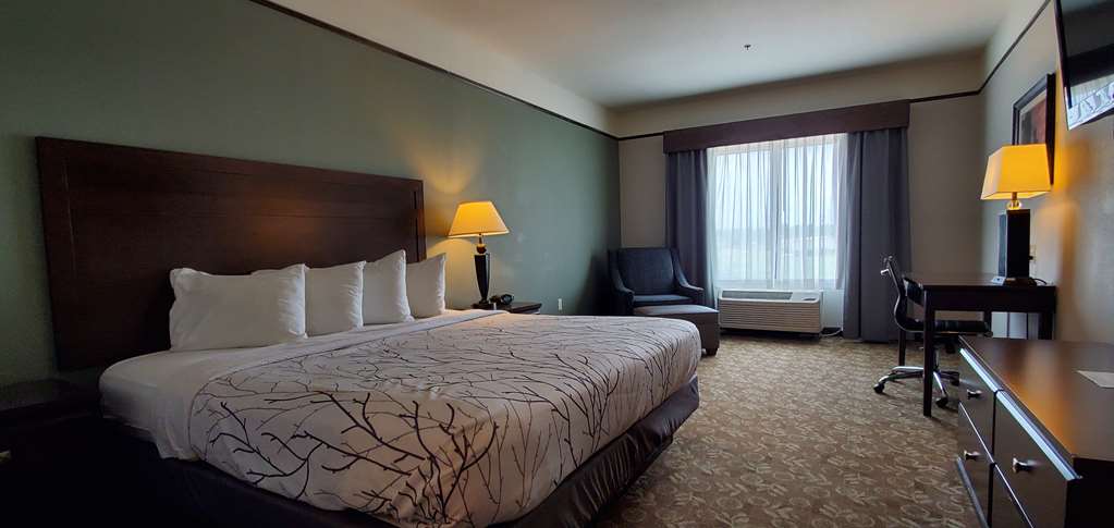 Best Western Plus Emory At Lake Fork Inn & Suites - photo 3