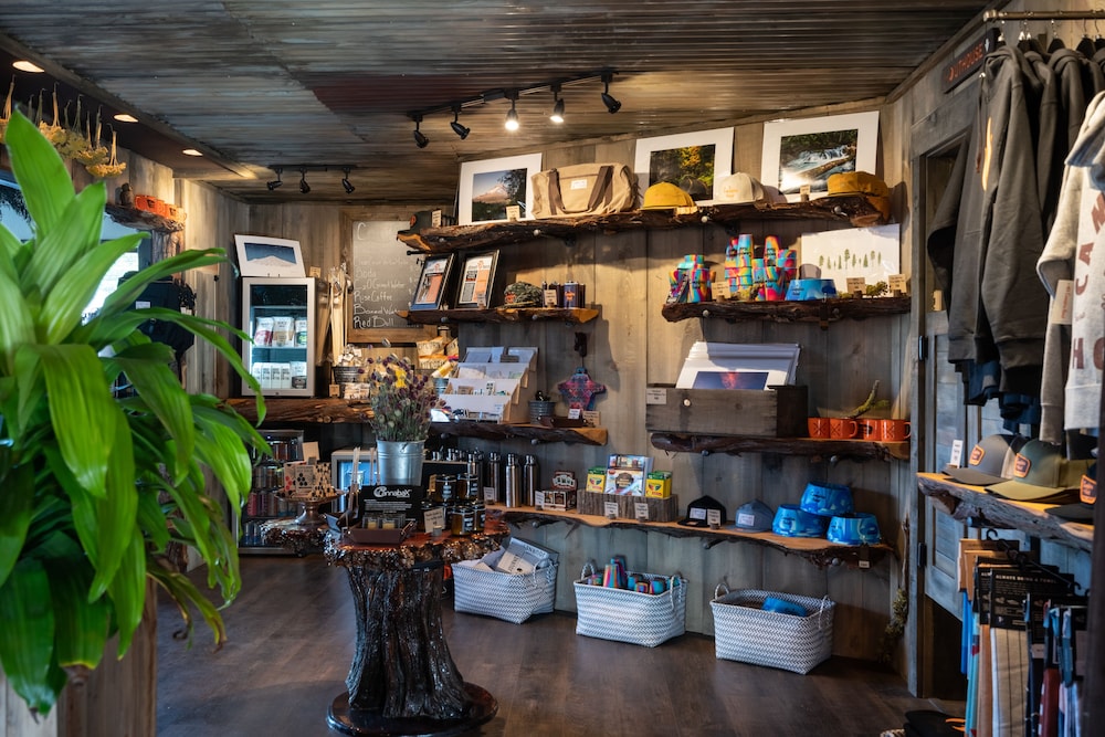 Campfire Hotel - photo 2