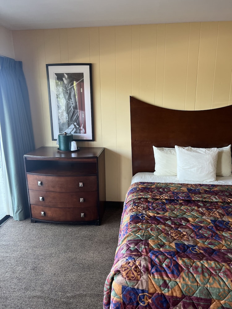 All Star Inn & Suites - photo 166