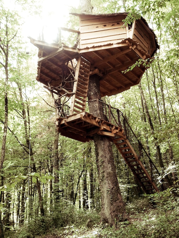L’Arbre à Cabane — Melay — photo 5