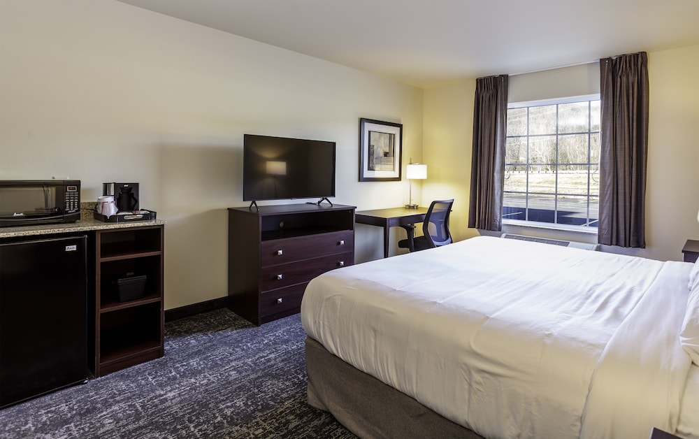 Cobblestone Inn & Suites of Springfield - photo 8