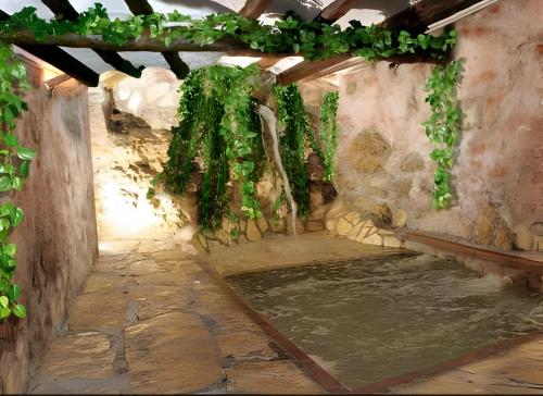 Can Pavet — hotel in Navas