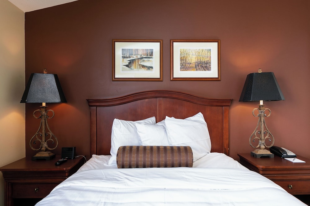 The Shores Resort - photo 217