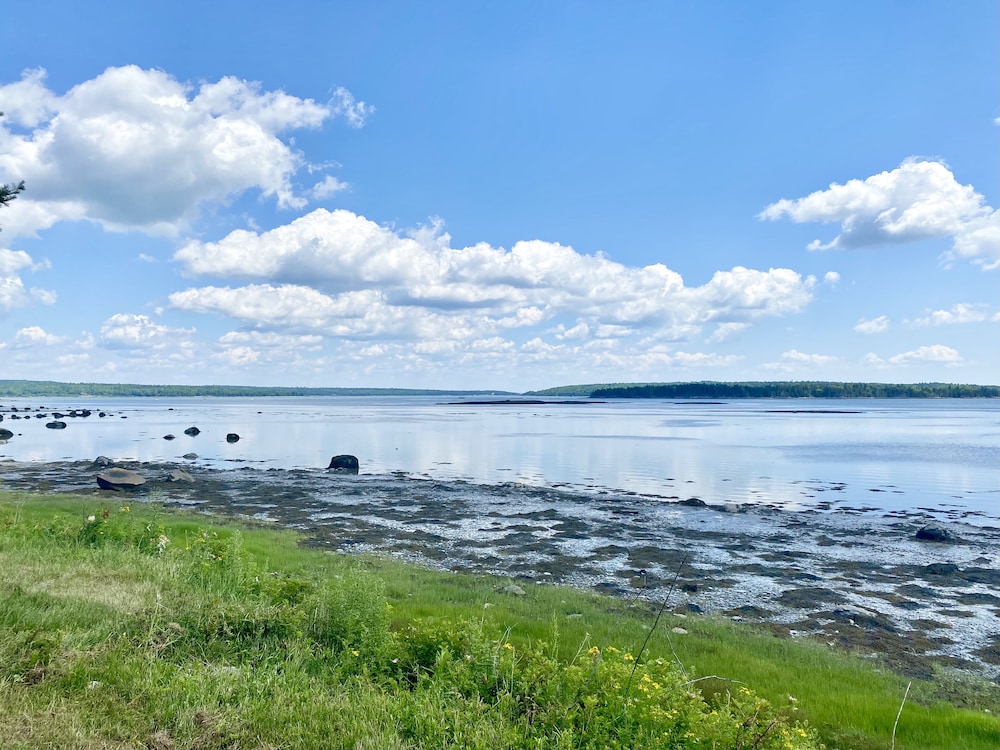 Island View Hotel Bar Harbor - photo 36