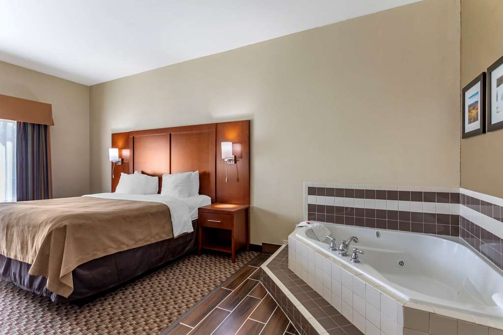 Comfort Inn & Suites Carbondale University Area - photo 21