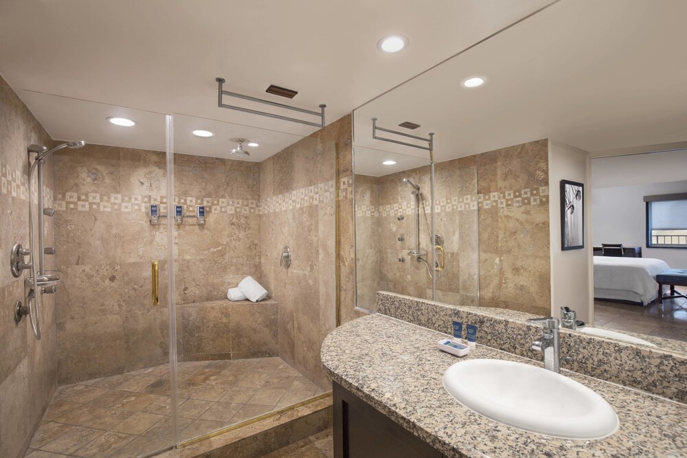 Four Points by Sheraton Anaheim - photo 11