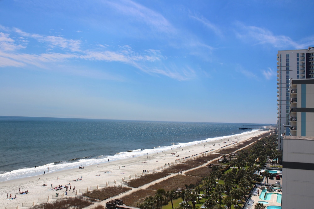 Meridian Plaza by Palmetto Vacations - photo 23