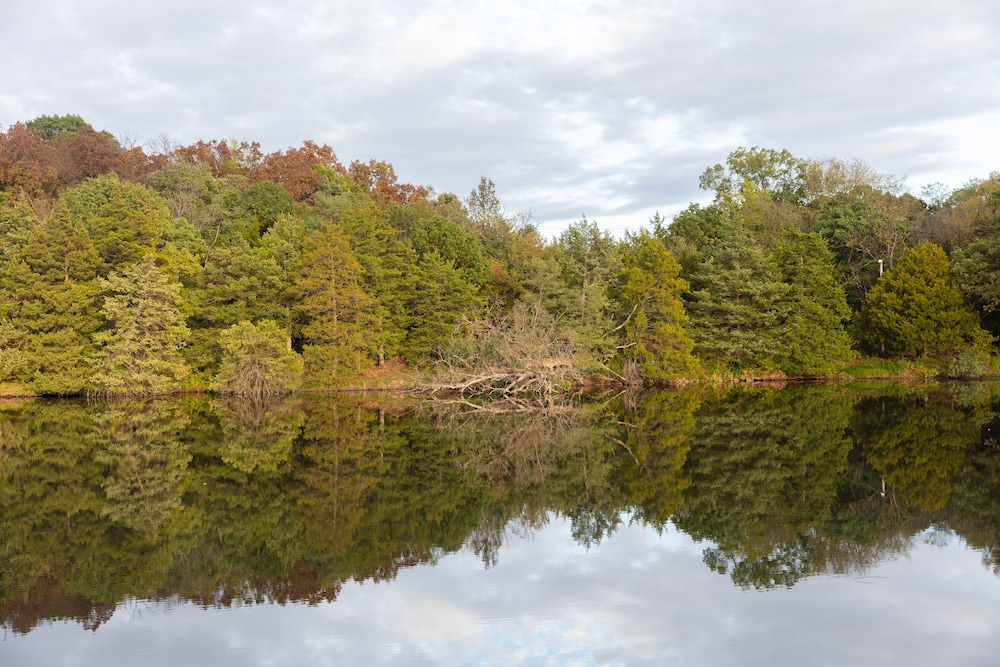 Basswood Resort - photo 42