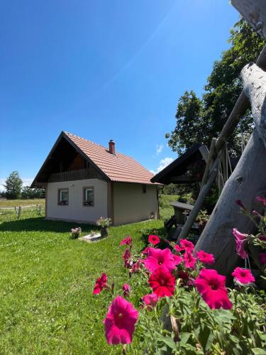Vikendica Jovanovic in Bajina Basta, Serbia