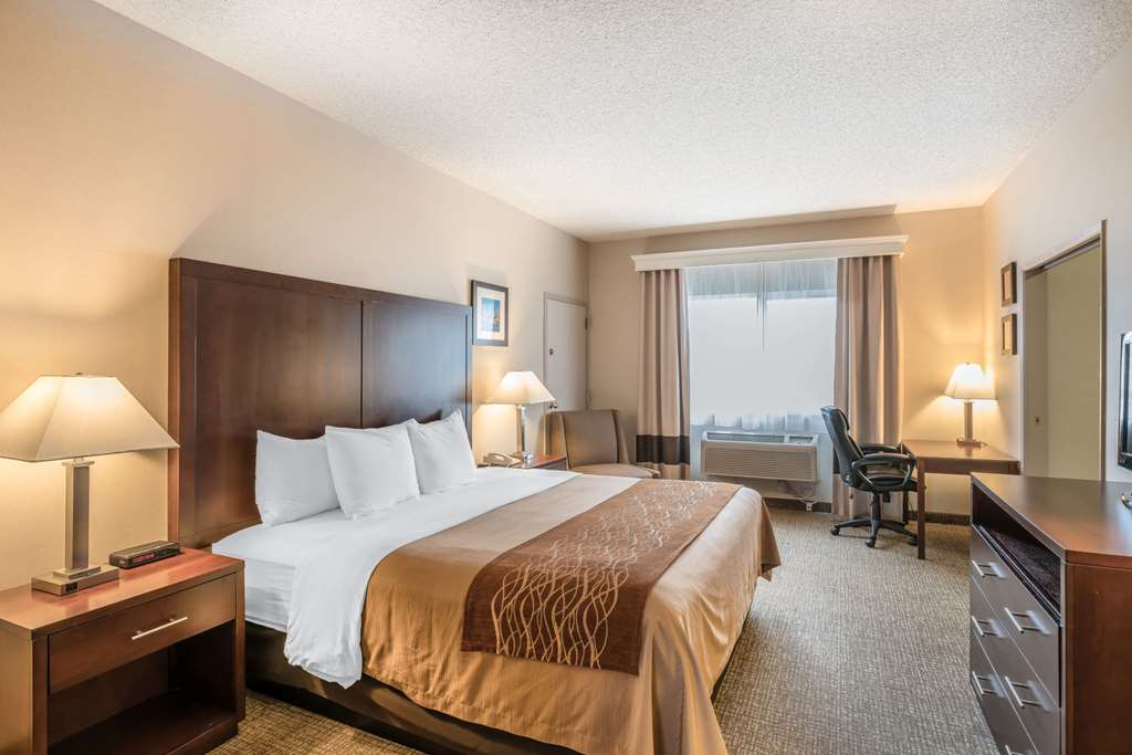 Comfort Inn & Suites Seattle North - photo 12